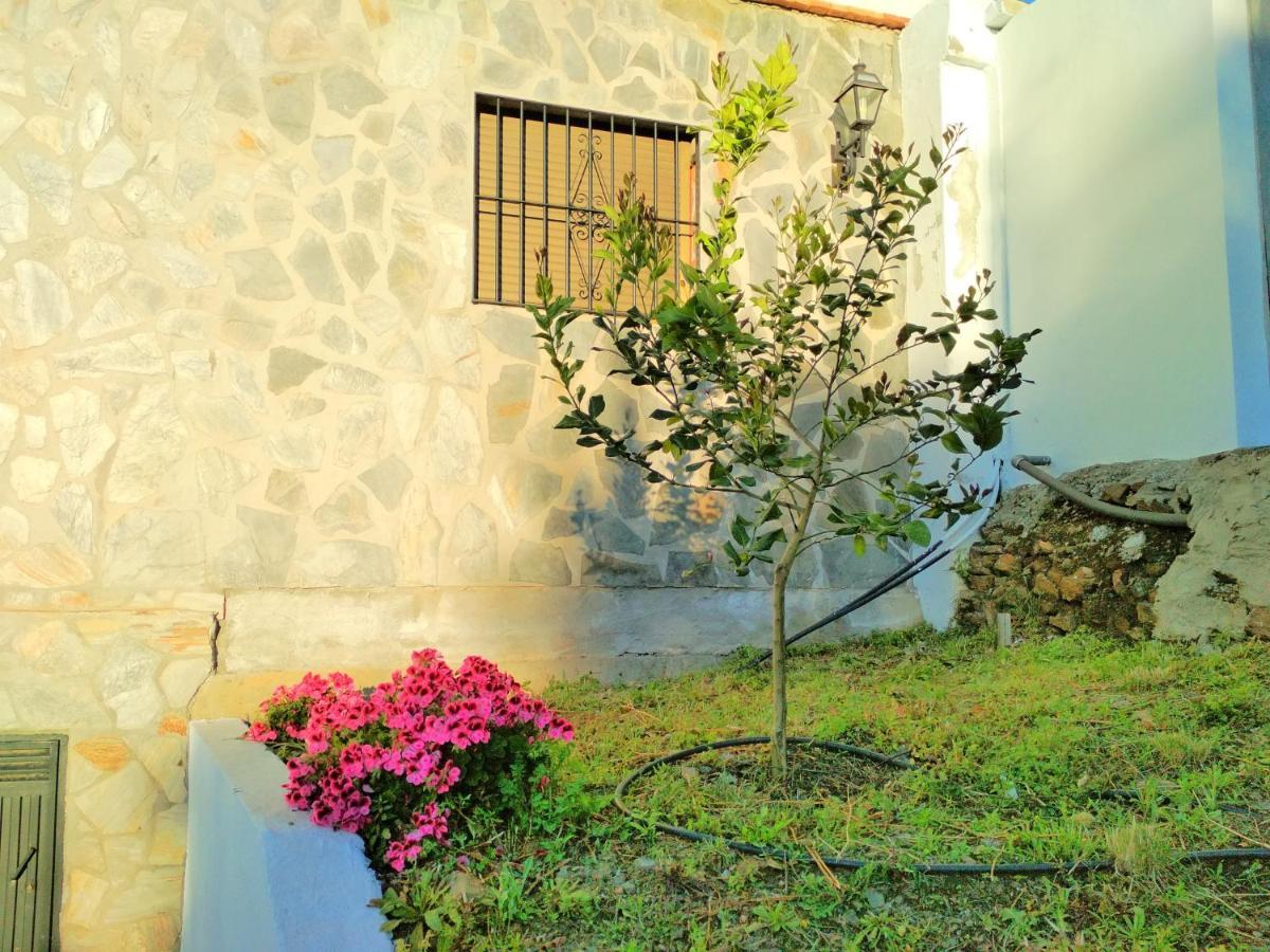 Villa Las Encinas Costa Del Sol Torrox Extérieur photo