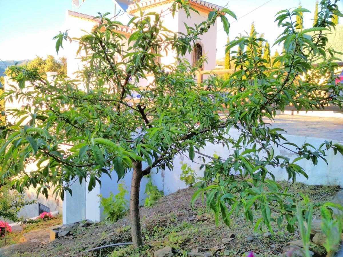 Villa Las Encinas Costa Del Sol Torrox Extérieur photo